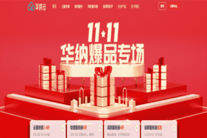 华纳云 双11爆品专场