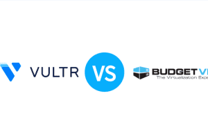 2022年Vultr VS BudgetVM VPS服务器产品对比