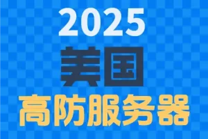 2025 美国 高防服务器,蓝色棋盘格背景上排列的三行彩色加粗文字。