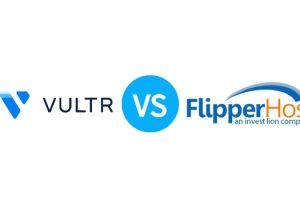 2023年Vultr VS Flipperhost 独立服务器产品对比