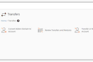进入Transfer Tool